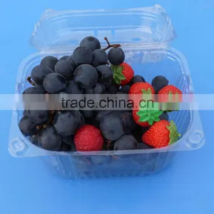 High Quality Disposable Clamshell Blister Plastic Packaging Container Punnet 1500 Gram thumbnail-5