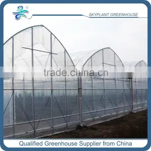 Plastic Film Greenhouse Large for Flowers Vegetables thumbnail-2