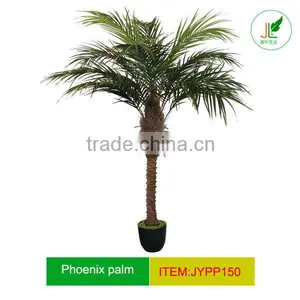 Artifiicial Phoenix Palm Tree thumbnail-1