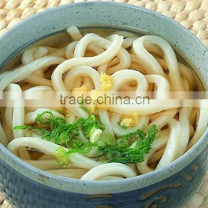New Type Developmental Nutritional Udon Noodle thumbnail-1