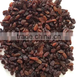 High Quality Dried Brown Sultana Raisin on Sale thumbnail-6
