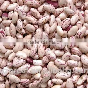 Best Price New Crop Light Speckled Kidney Beans With Good Quality thumbnail-5