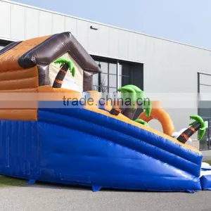 Boys and Girls Water Inflatable Pool Slide, Low Price Inflatable Waterslide on Sale thumbnail-5