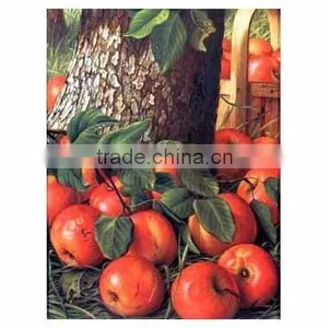 Inkjet White Vinyl / Dye Self Adhesive Vinyl thumbnail-1
