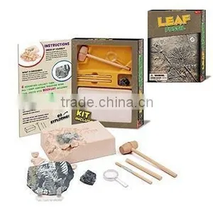 Deluxe Authentic Plant Leaf Fossils Dig Kit thumbnail-1