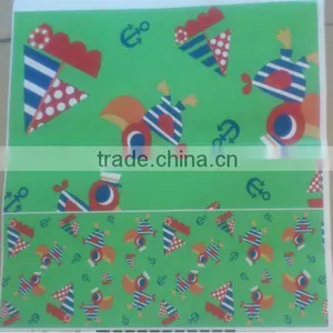 PVC Sheet for Raincoat Plastic Raincoat thumbnail-2