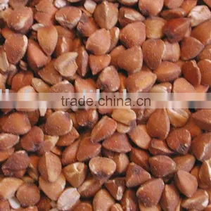 Roasted Buckwheat Kernel, Roasted Buckwheat Hull thumbnail-1