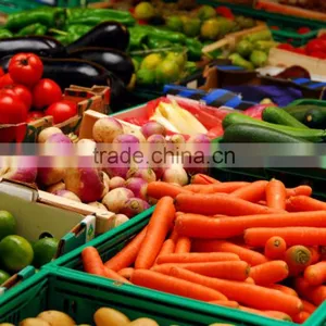 Fresh Vegetables Exporters thumbnail-2