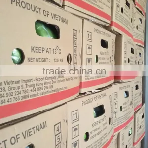 Fresh Green Cavendish Banana Hot for Sales thumbnail-1