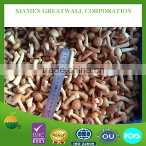 Frozen Nameko Mushroom From China Food Supplier thumbnail-2