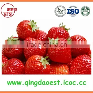 Wholesale for Sale Best Price Chinese Strawberry thumbnail-6
