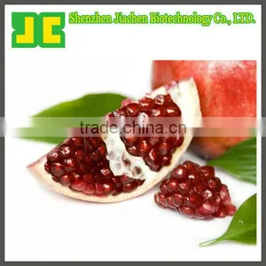 Sell 100% Natural Pomegranate Peel Extract Powder 5:1&10:1 With High Quality thumbnail-1