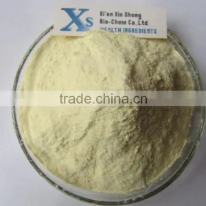 High Quality GMP&KOF-Kosher Ginseng Root Extract Ginsenoside thumbnail-1