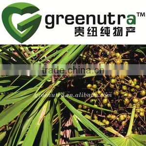 GMP Saw Palmetto Extract Powder thumbnail-1