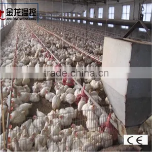 Automatic Broiler Feeding System thumbnail-1