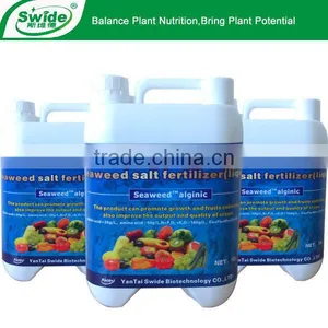 Root Magic Fertilizer thumbnail-1