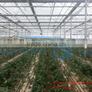 Agricultural Commercial Glass Greenhouses (ISO9001:2000) thumbnail-2