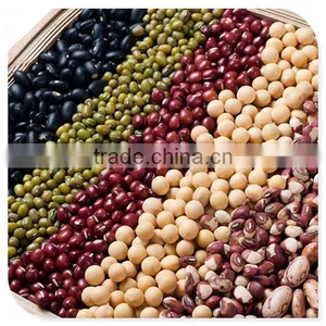 CE Commercial Soybean Soya Milk Grinder Maker Machine thumbnail-4