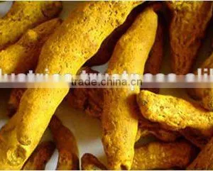 Turmeric Fingers thumbnail-2