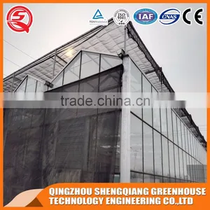 The Way of Build Glass Greenhouse to Plant Flowers and Vegetables thumbnail-4