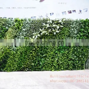 Wholesale Price Plastic Plant Vertical Everygreen Wall,artificial Plants for Wall thumbnail-3