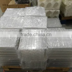 Custom Vacuum Thermoforming Clear PET Plastic Tray Wholesale thumbnail-4