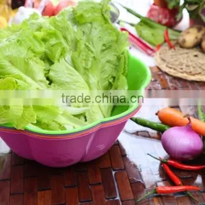 Hot Bsale Plastic 8 Sides Vegetable Fruit Washing Storage Basket for Daily Life thumbnail-3