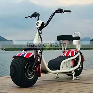 800w-1500w Electric Citycoco Scooter of Adult With Intelligent Brushless Controller thumbnail-5