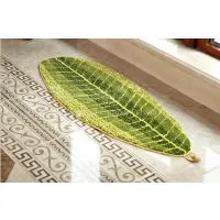Leaf Home Carpet, Door Mat, Bathroom Pad thumbnail-1