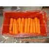 Fresh Carrot thumbnail-2
