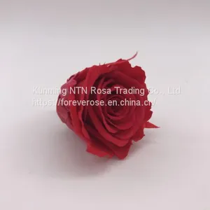 A Grade Everlasting Fresh Flower Decoration Rose Preserved Rose Head thumbnail-3