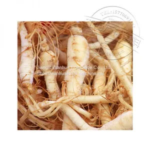 Quality Ginseng Oil Wholesale thumbnail-2