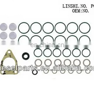 P7100 Injection Pump Repair Kit, Service Kit, Overhaul Kit thumbnail-1