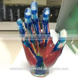 Surgical Training Manikin MJP 3D Printing Color Organ Model thumbnail-5