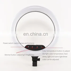 Anchor Beauty Lamp 14 Inch LED Photography Fill Light Ring Light Vibrato Live Makeup Beauty Camera Photo Light thumbnail-2