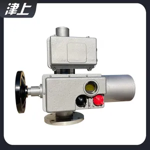 HART Bus Protocol BS-60/K30Z Intelligent Adjustment of the Electric Actuator thumbnail-2