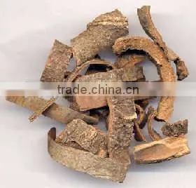 100%Natural Cinnamon Bark Oil Cinnamon Oil Distillation Extraction thumbnail-2