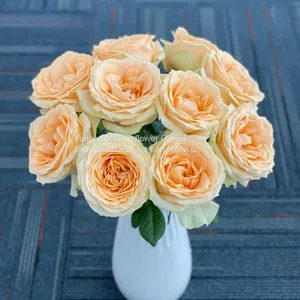 Natural Fresh China Rose Bouquet Fresh Cut Flower Best Quality Grade a Decorative 20PCS/Bundle thumbnail-3