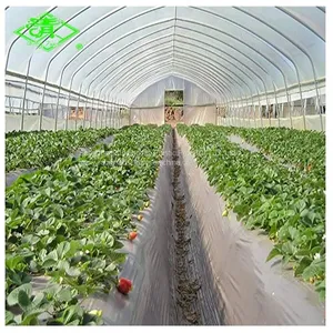 Agricultural Biodegradable Black Anti-weed Plastic Mulch Film for Strawberry thumbnail-5