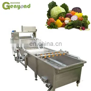 Quick Freezing Vegetable Tpye Tunnel Freezer Machines Frozen Vegetable And Fruit Production Line thumbnail-1