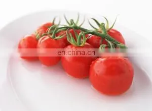 Turnkey Production Plant of Sauce and Ketchup and Tomato Paste Processing Line thumbnail-2