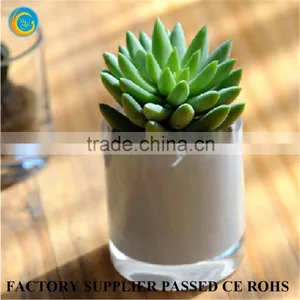 Assessed Supplier Hot Sale Candlestick Glass Exported to India thumbnail-4