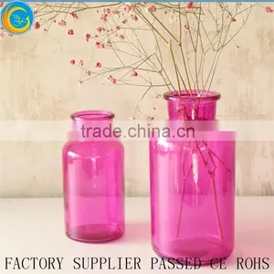 Stylish Colorful Glass Bottle Plant Vase or Moss Terrarium Clear Flower Vases Quality Choice thumbnail-5