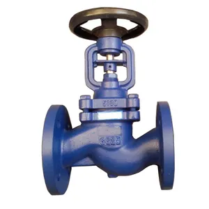 DIN Cast Iron Bellow Seal Globe Valve Flange High Temperature Steam Globe Valve thumbnail-4
