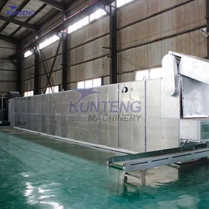 Automatic Nutmeg Dryer Machine Band Dryers Electric Dryer Machine Flower Drying Machine EPC thumbnail-4