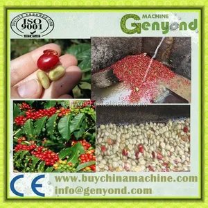 Green Coffee Bean Processing Unit Machine for Coffee Processing Line thumbnail-4