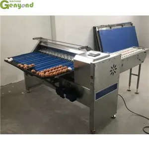 Egg Grading Machine Automatic Egg Sorting Machine Chicken Egg Sorter for Homeuse thumbnail-1