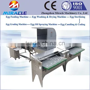 Chicken Eggs Picking, Graded Eggs, Sorting Machine of Egg Production Plant With 5,000 Eggs Picker Grading Equipment thumbnail-1