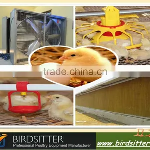 Ready Sale Automatic Poultry Equipment for Broiler and Chicken thumbnail-1