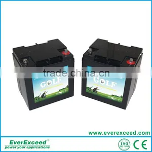 EverExceed High Quality Golf Cart Lithium Battery for Golf Cart thumbnail-1